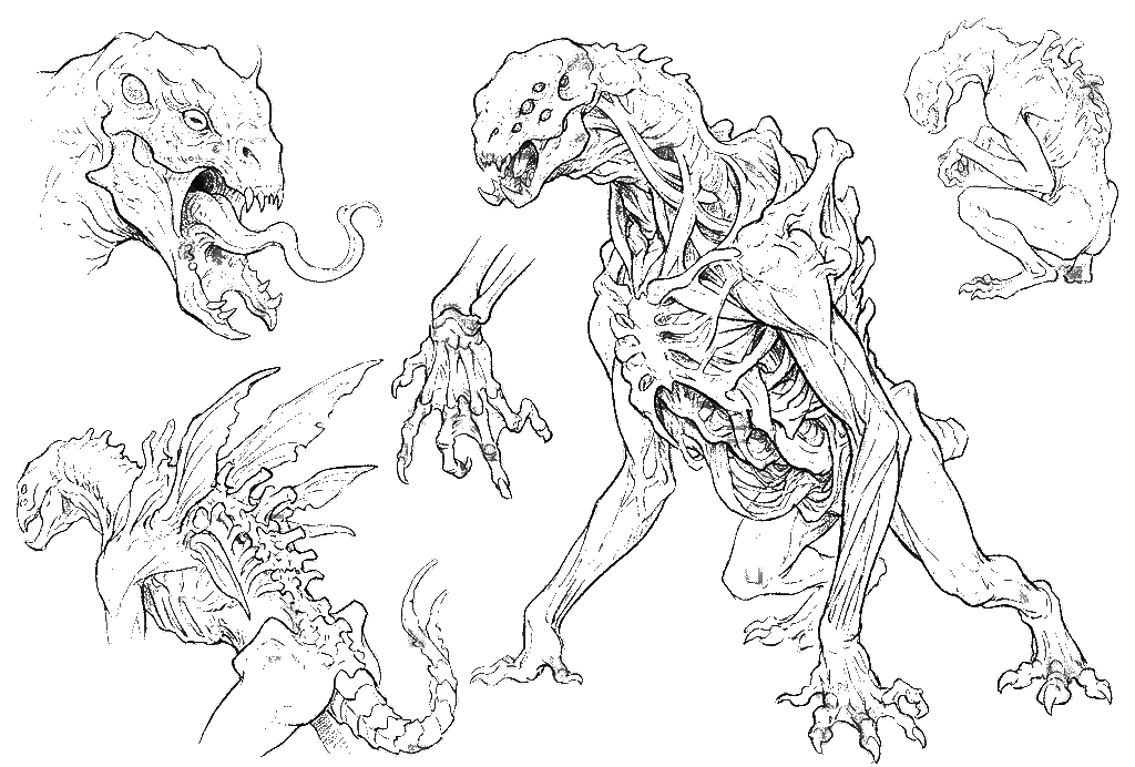 Creature Studies Sketch